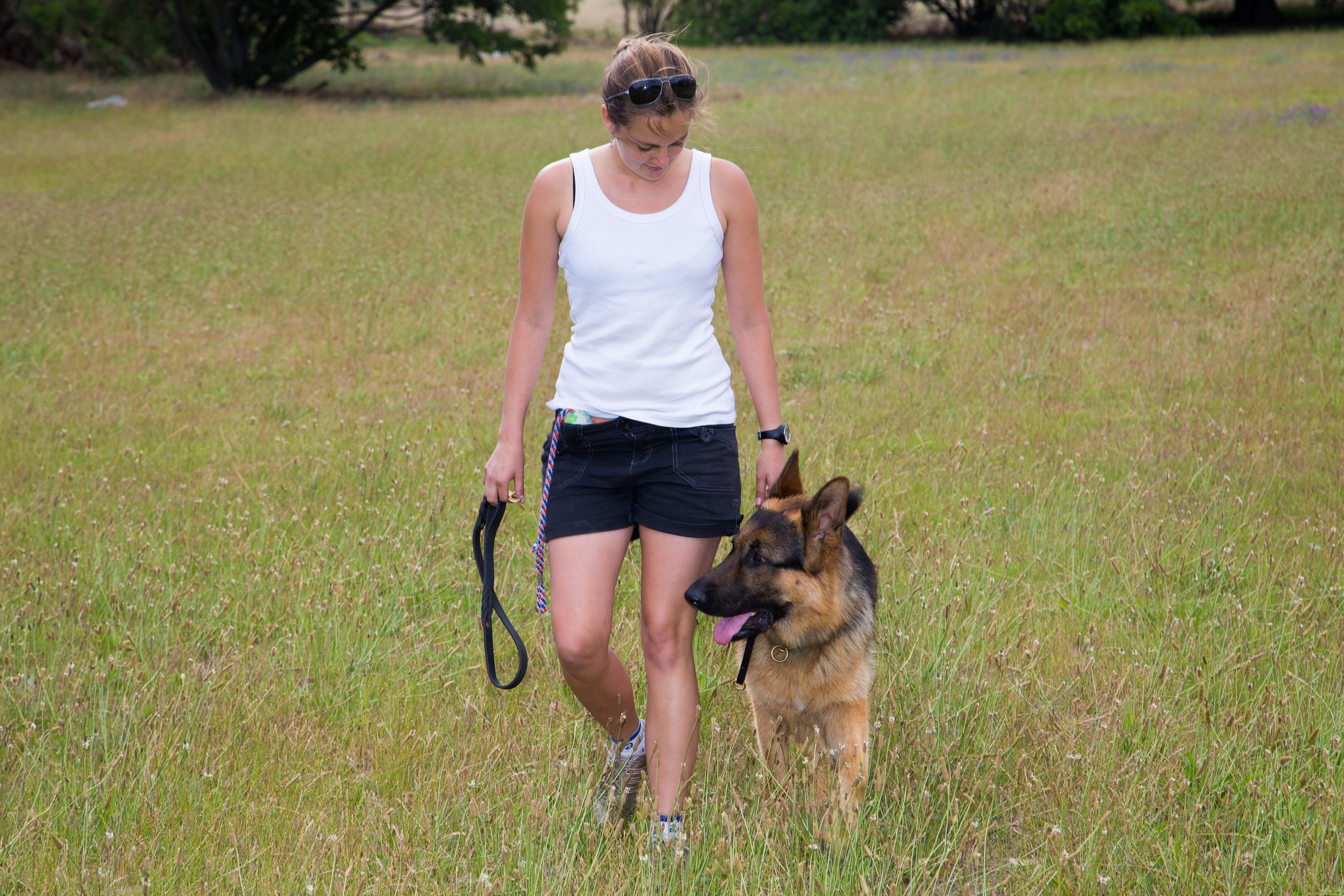 Training walk in the field